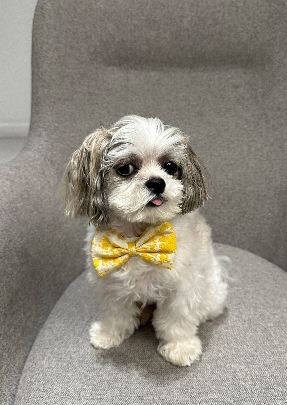 Bow Tie in Yellow Jacquard