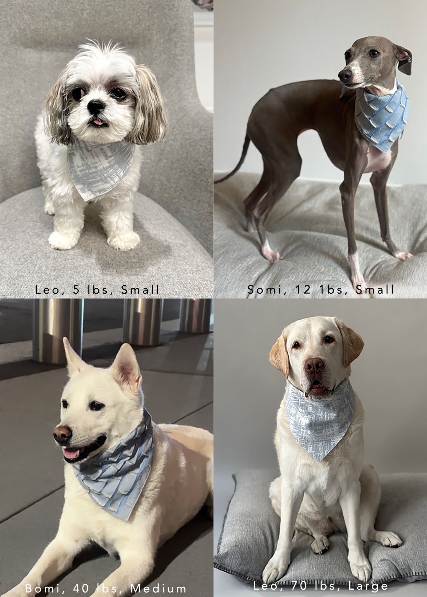 Bandana in Sky Jacquard