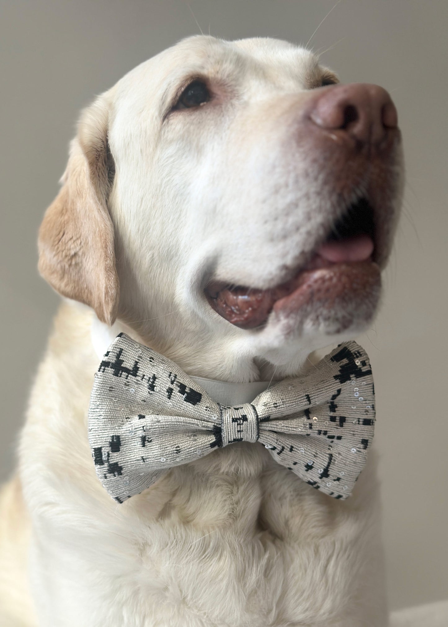 Bow Tie in Sequined Jacquard