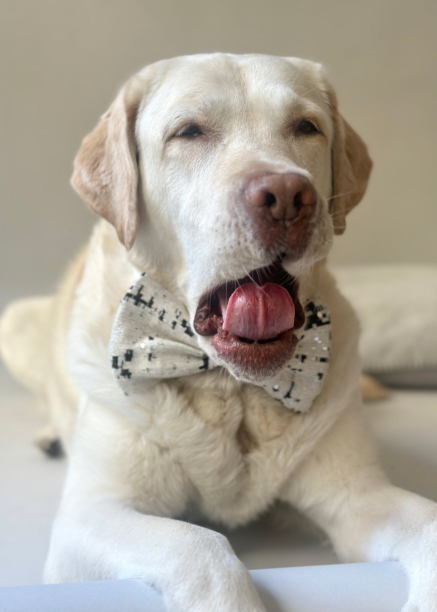 Bow Tie in Sequined Jacquard