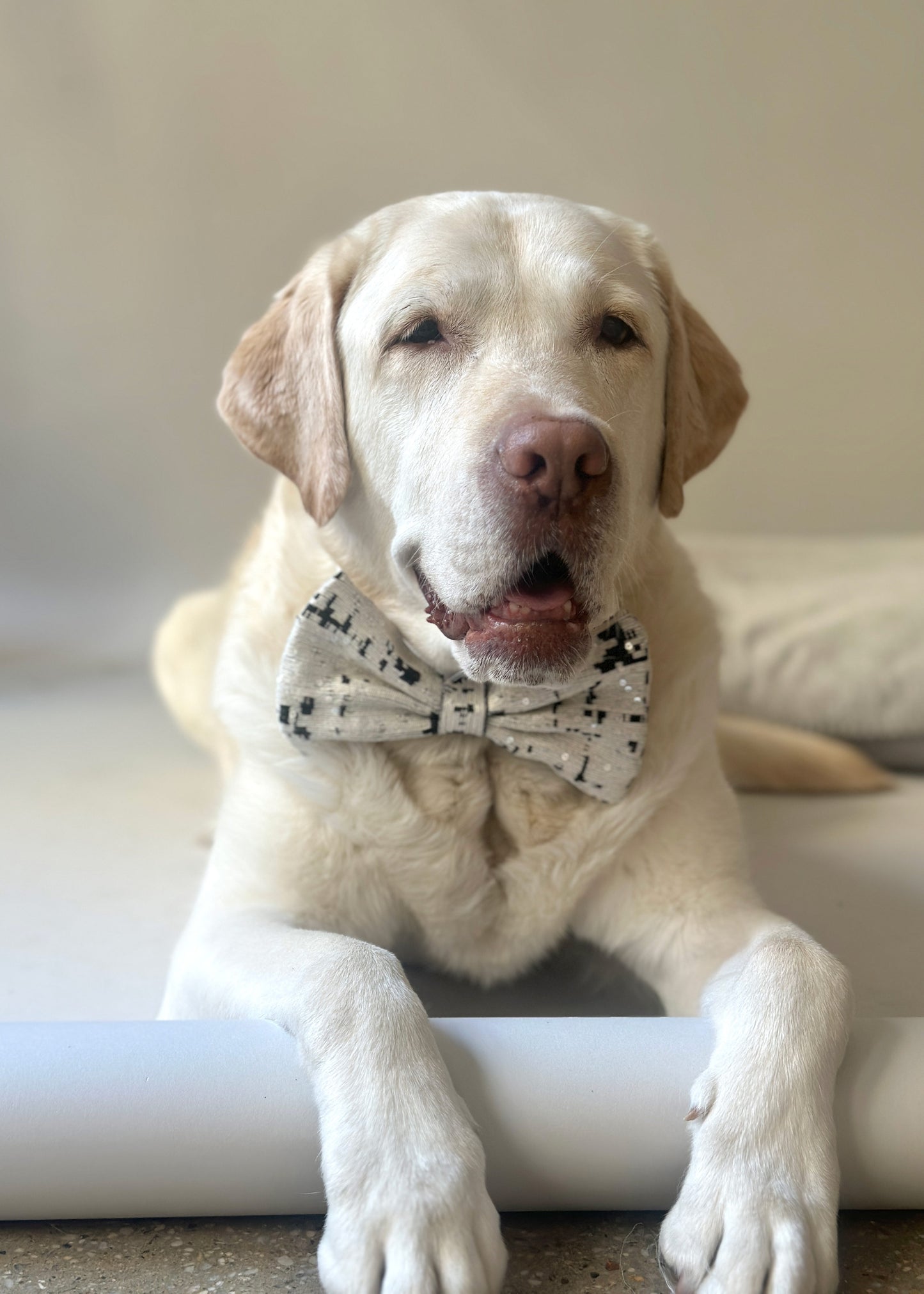 Bow Tie in Sequined Jacquard