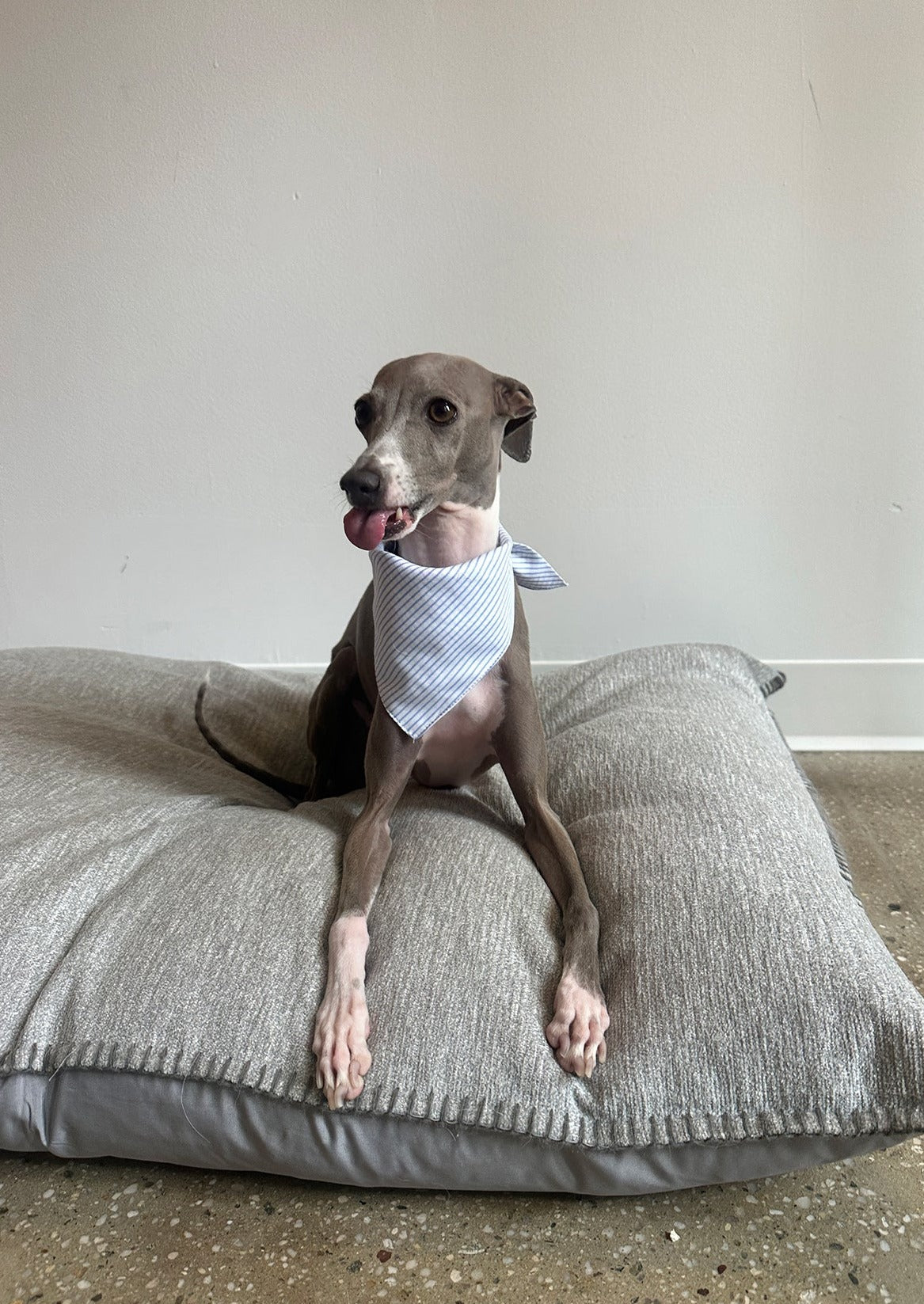 Cooling Pocket Bandana in Striped Poplin
