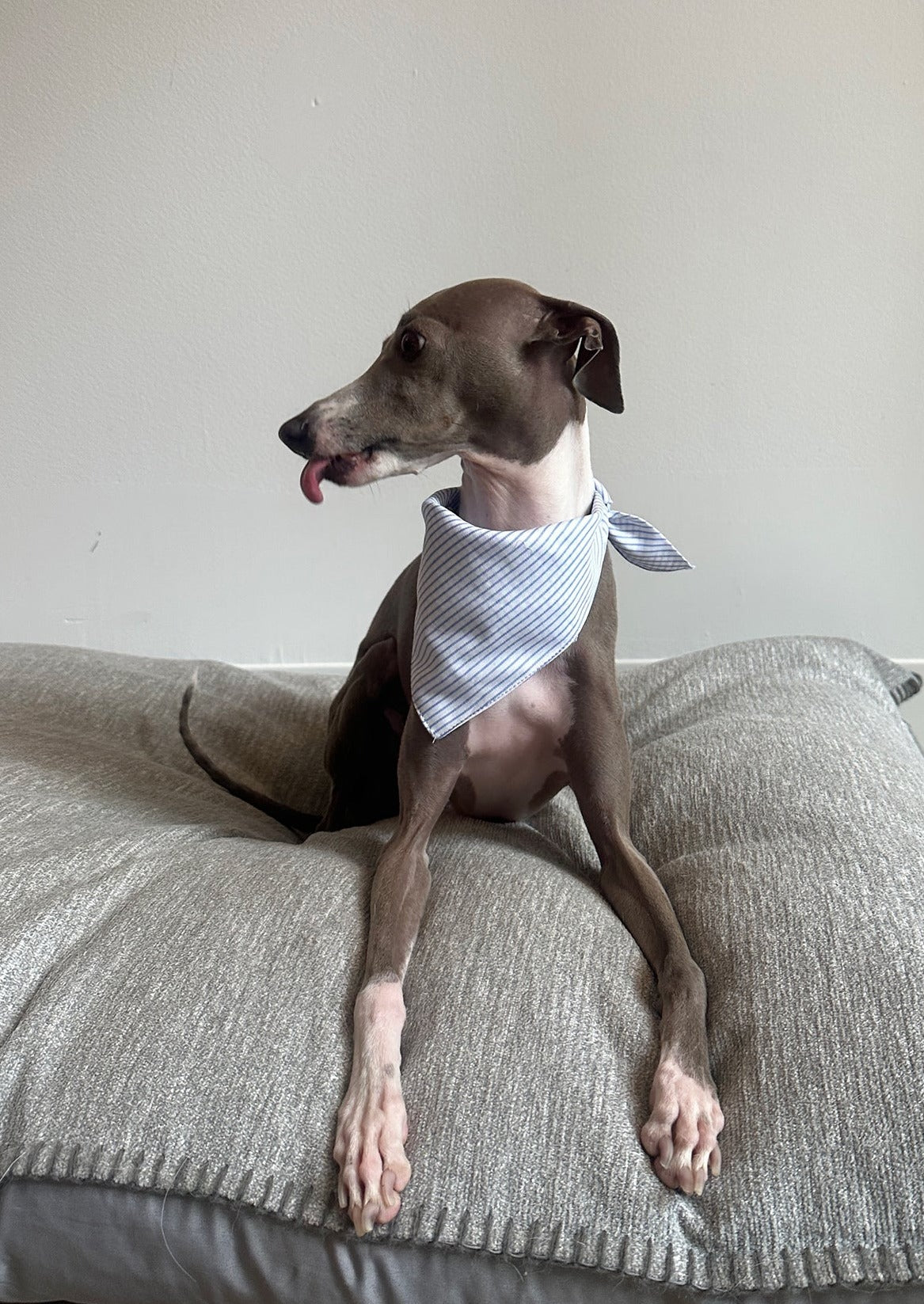 Cooling Pocket Bandana in Striped Poplin
