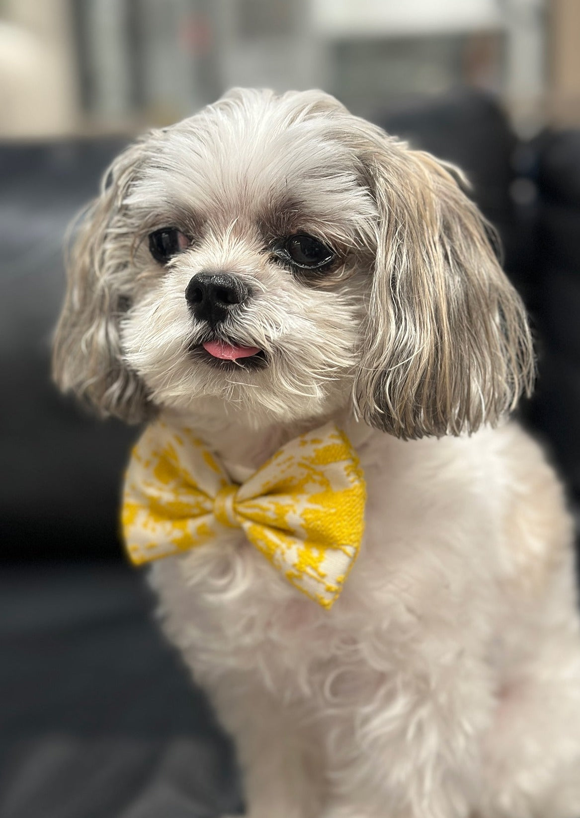 Bow Tie in Yellow Jacquard
