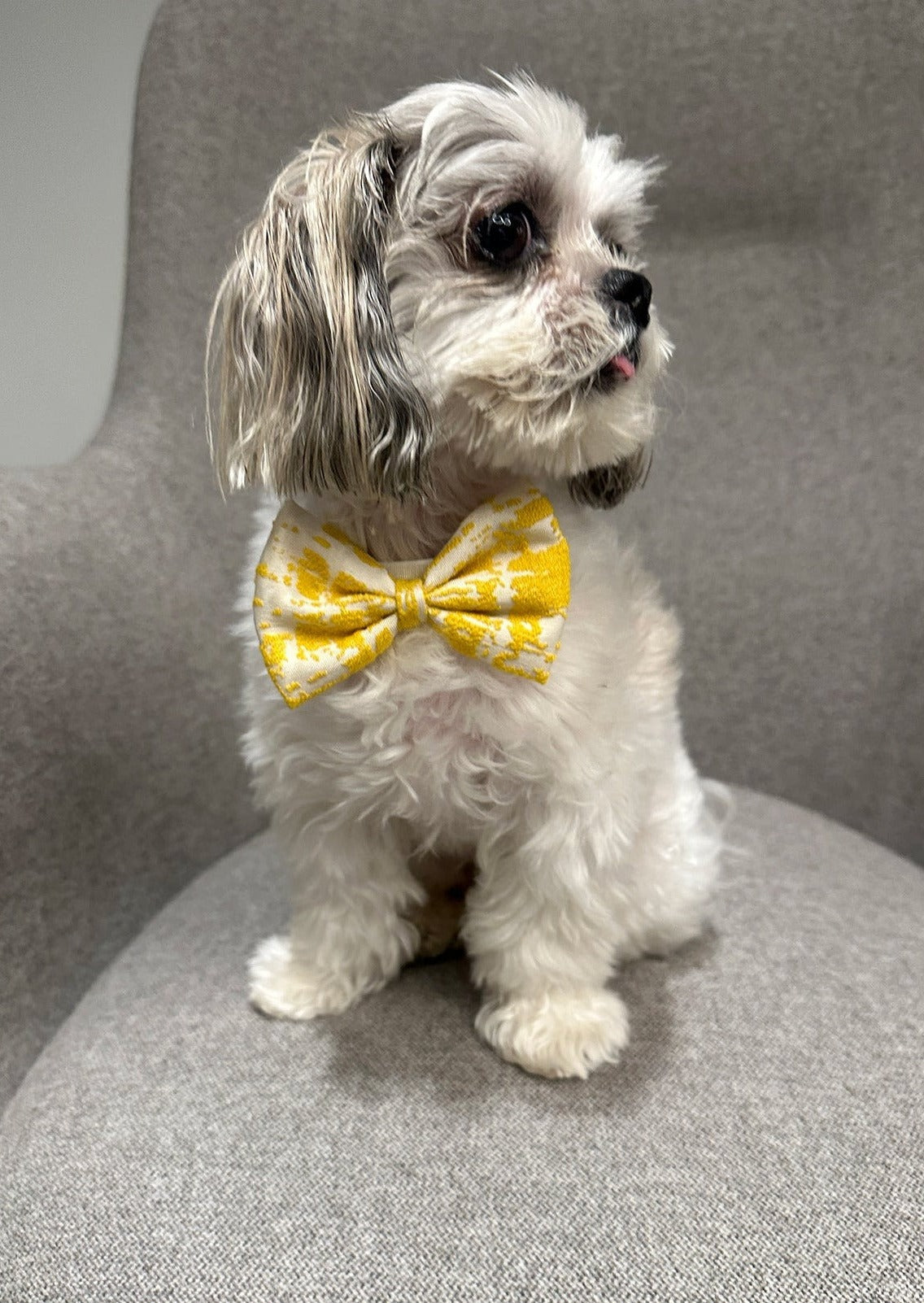 Bow Tie in Yellow Jacquard