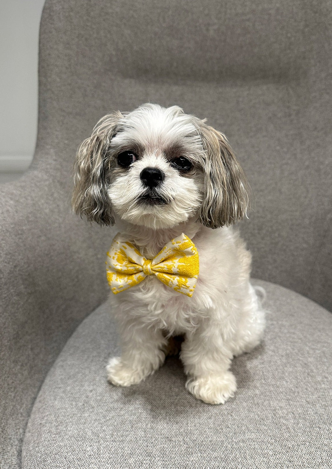 Bow Tie in Yellow Jacquard