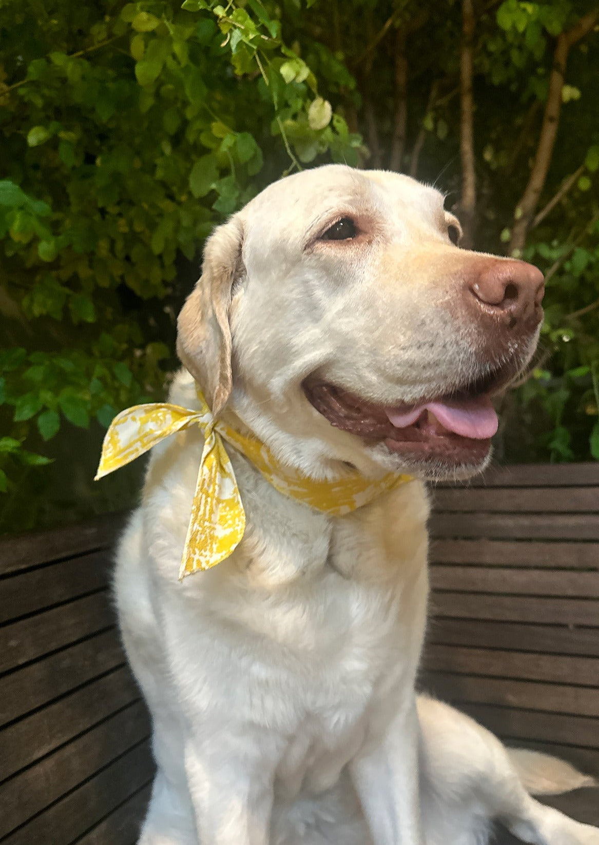 Bandana in Yellow Jacquard