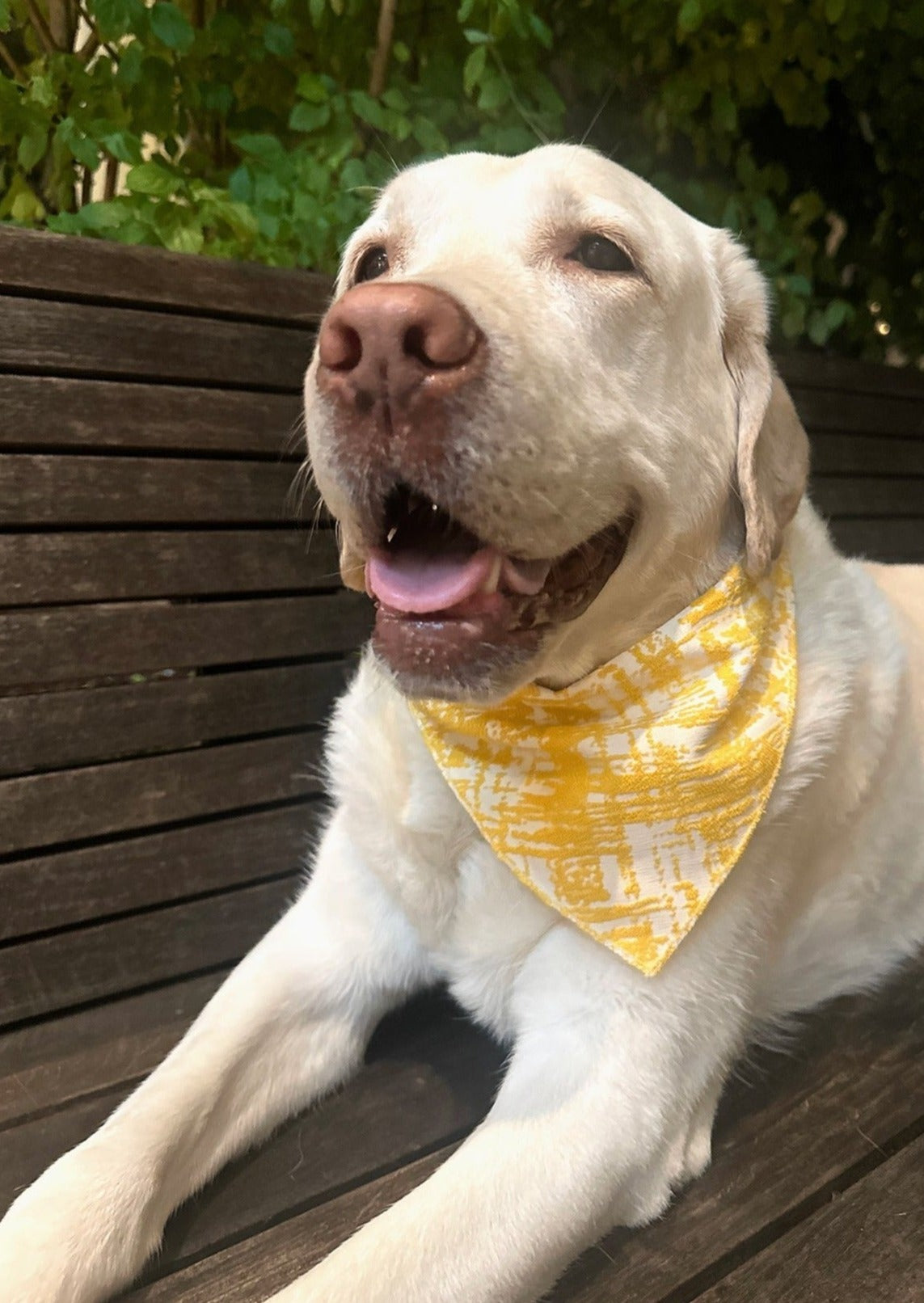 Bandana in Yellow Jacquard